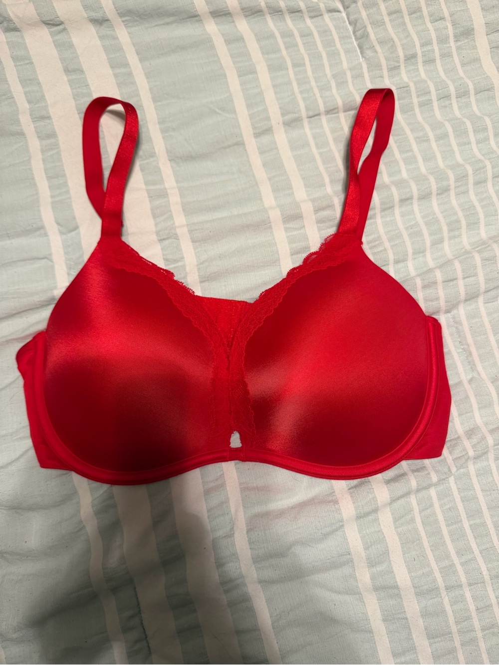 wild fable Smooth Red Underwire T-Shirt Bra